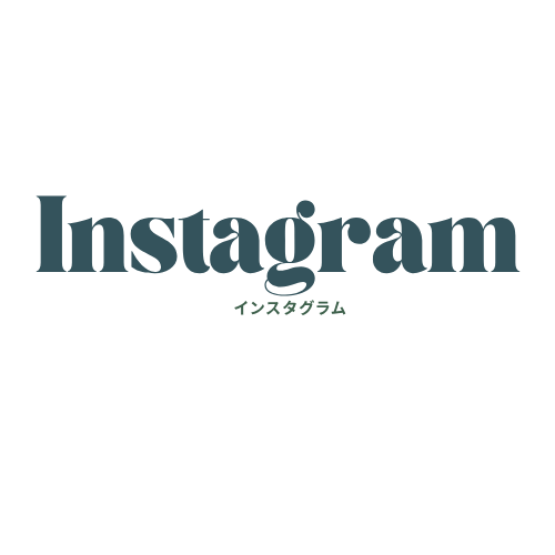 Instagram 最近の活動